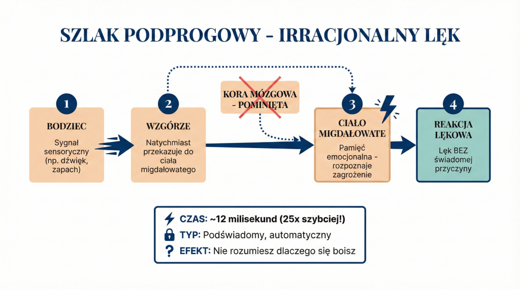 Diagram szlaku podprogowego lęku - bezpośrednie połączenie wzgórza z ciałem migdałowatym pomijające świadomość, przyczyna irracjonalnego lęku