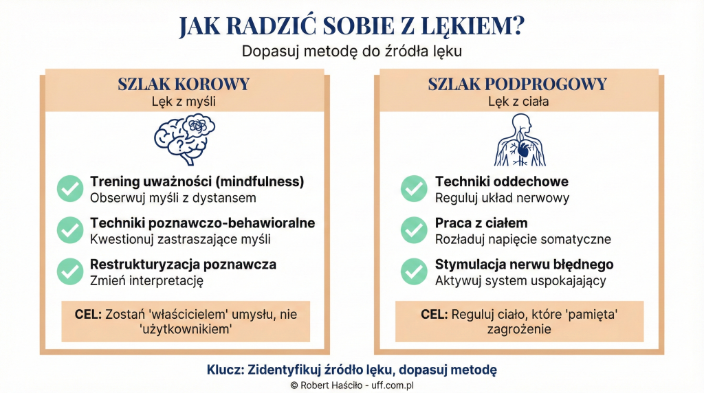 Infografika pokazująca dwie metody radzenia sobie z irracjonalnym lękiem - techniki poznawcze dla szlaku korowego i techniki cielesne dla szlaku podprogowego