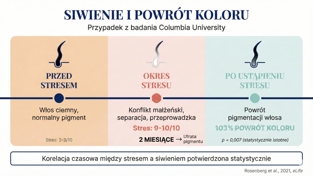 Oś czasu przypadku 30-letniej kobiety z badania Rosenberg 2021 – stres 
powoduje siwienie włosa, ustąpienie stresu przywraca kolor
