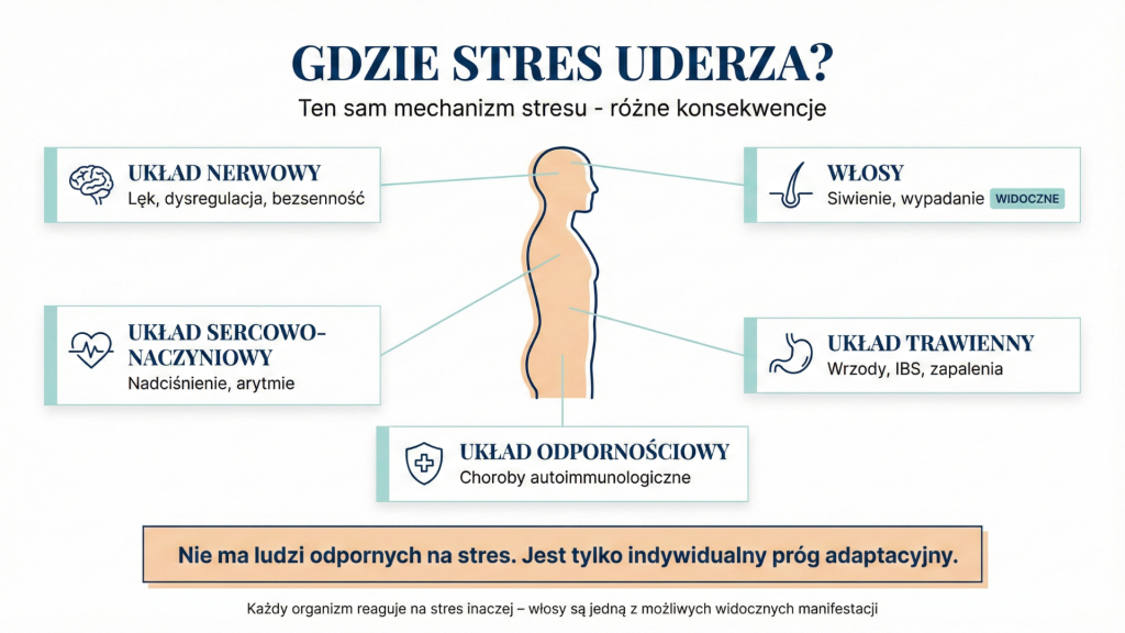 Infografika pokazująca różne manifestacje stresu w organizmie – układ nerwowy, 
włosy, serce, układ trawienny i odpornościowy z kluczowym przekazem 
o indywidualnym progu adaptacyjnym