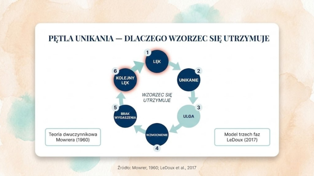Diagram samonapędzającej się pętli unikania — wzorzec traumy utrzymuje się przez cykl lęk-unikanie-ulga-wzmocnienie